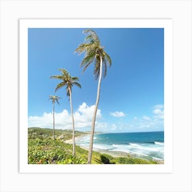 Palm Trees On The Beach Art Print