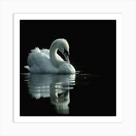 Beautiful Swan Art Print