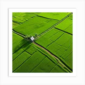 Grow Plant Green Background Field Aerial Landscape Pattern Agriculture Grass Harvesting C (3) Art Print