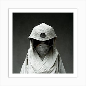 Ninja 1 Art Print