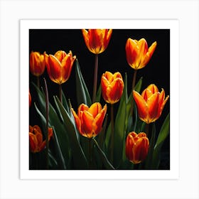 Orange Tulips Art Print