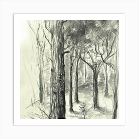 Eucalyptus Forest Art Print