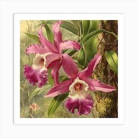 Orchids Art Art Print