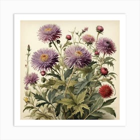 Asters Wildflower Vintage Botanical Art Print 1 Art Print