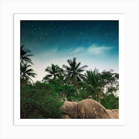 Palm Trees Starry Sky Stones Wallpaper 1024x1024 Art Print