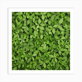 Green Leaves Background Art Print