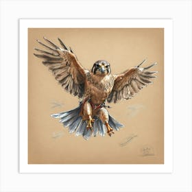 Falcon In Flight 1 Art Print