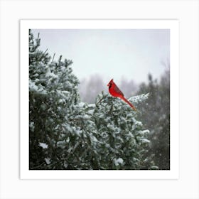 Firefly Beautiful, Winter, Day, Cardinal, Bird, Snowing, Snowy, Serene, Peaceful, Nature, Vibrant, R (3) Art Print