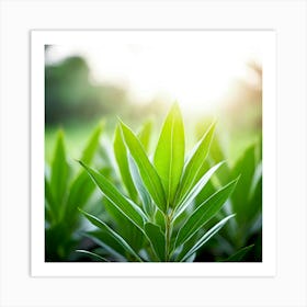 Ecology Plant Green Nature Garden Flora Fresh Leaf Summer Natural Environment Spring Gra (2) Art Print