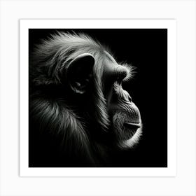 Chimpanzee Portrait Art Print