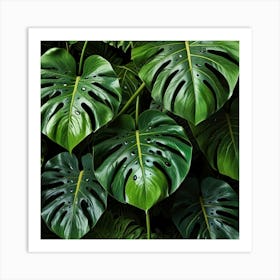 Default Monstera Leaves Photo Art 2 Art Print