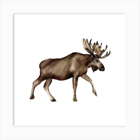 Moose Art Print