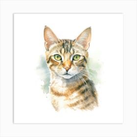 Hungarian Shorthair Cat Portrait Art Print