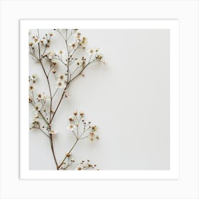 White Flowers On White Background Art Print