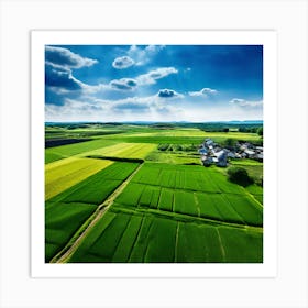 Green Farm Nature Field Landscape Countryside Agriculture Grass Gold Grow Japan Air Plan (10) Art Print