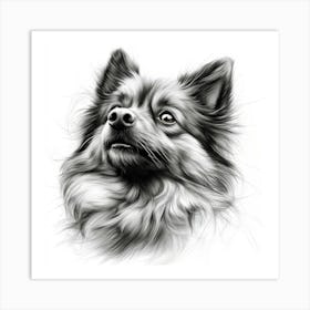 Keeshond Art Print