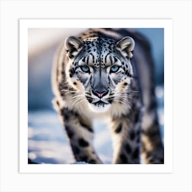 Snow Leopard Art Print