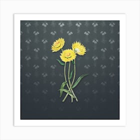 Vintage Helichrysum Flower Botanical on Slate Gray Pattern n.1088 Art Print