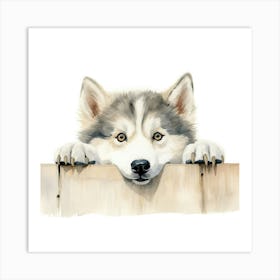 Husky Dog 6 Art Print