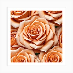 Peach Roses Art Print