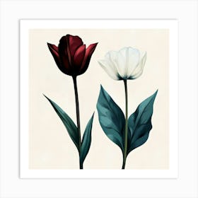 Two Tulips 1 Art Print