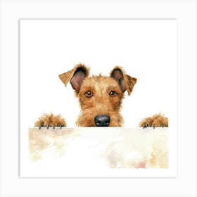 Irish Terrier 7 Art Print