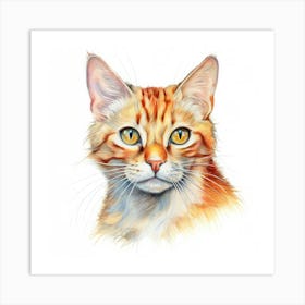 Mandarin Cat Portrait 2 Art Print