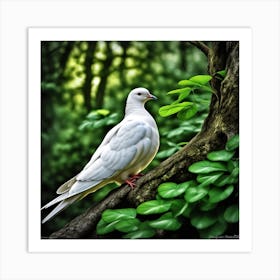 White Dove In The Forest Art Print