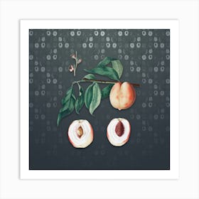 Vintage Peach Botanical on Slate Gray Pattern n.2042 Art Print