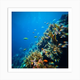 Great Barrier reef 8 Art Print