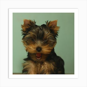 Yorkshire Terrier Puppy Art Print