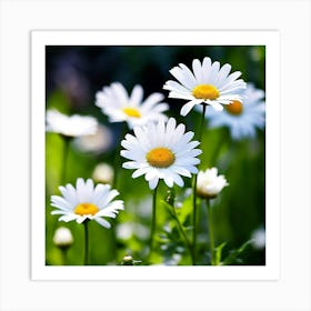 White Daisies Close Up Flowers Petals Nature Bloom Flora Botanical Spring Blossom Garden Art Print