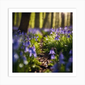 After the Rain, Path through the Woodland Bluebells  Art Print