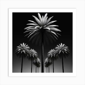 Palm Trees In Black And White Art Print