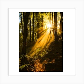 Sunbeams In The Forest 2 Art Print