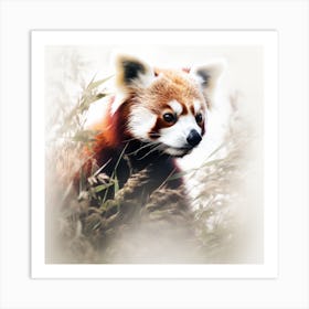 Red panda life Art Print