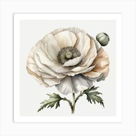 Large white poppy flower 5 Art Print