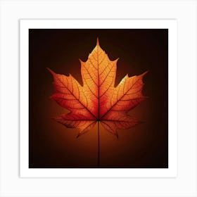 Maple Leaf On Black Background Art Print