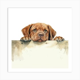 Dachshund 15 Art Print