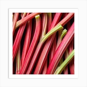 Rhubarb 17 Art Print