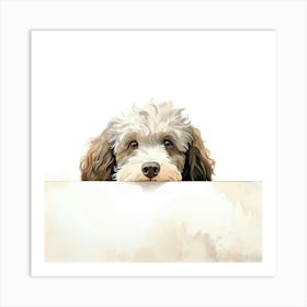 Spanish Water Dog Art Print