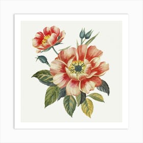 Peonies 5 Art Print