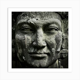 Firefly Weathered Face With Bold Textured Details 63683 Art Print