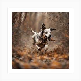 Dog Running Through The Woods 1 Art Print