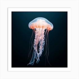 Jellyfish Poster