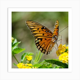 Beautiful butterflies  Art Print
