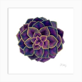 Purple Succulent 1 Art Print
