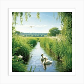 Wallpaper Capturing A Serene Summertime Countryside Two Cygnets Navigating A Vibrantly Green Stream Art Print