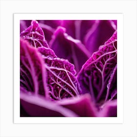 Purple Cabbage Leaves Art Print