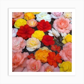 Carnations 4 Art Print